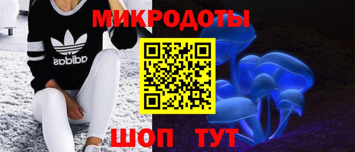 Псилоцибиновые грибы Psilocybine cubensis Георгиевск