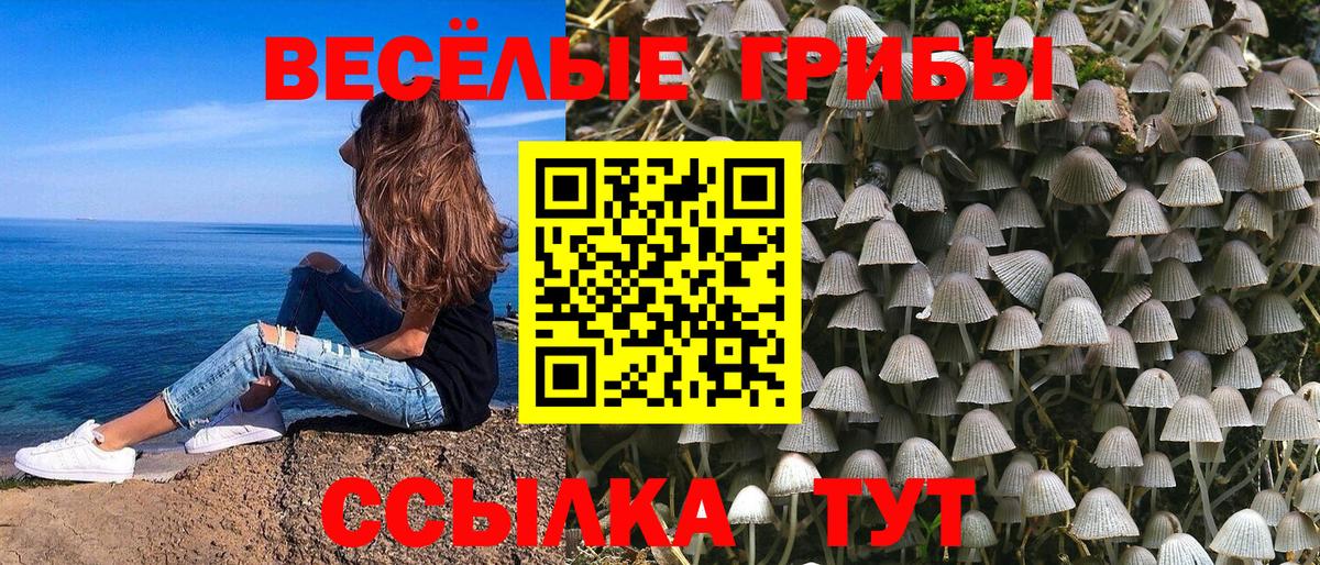 Георгиевск  Галлюциногенные грибы мухоморы  Вход с VPN  Галлюциногенные грибы прущие грибы 
